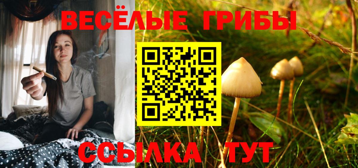 Псилоцибиновые грибы Magic Shrooms  Вход с VPN  Псилоцибиновые грибы прущие грибы  Озёрск 