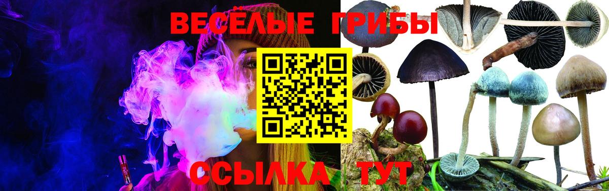 Псилоцибиновые грибы ЛСД Озёрск